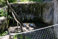 2019 PinUps at The Zoo Columbus